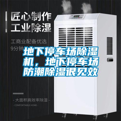 地下停车场香蕉视频国产APP下载机，地下停车场防潮香蕉视频国产APP下载很见效