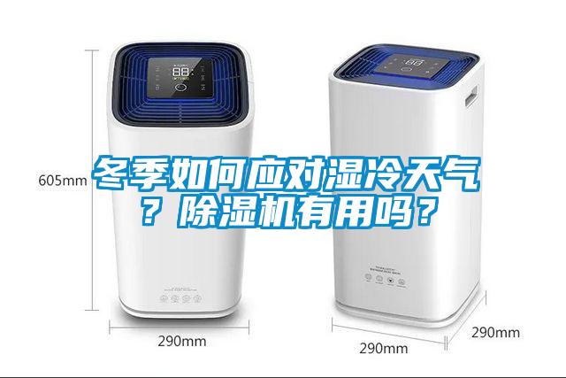 冬季如何应对湿冷天气？香蕉视频国产APP下载机有用吗？
