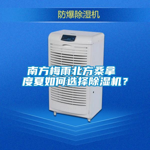 南方梅雨北方桑拿 度夏如何选择香蕉视频国产APP下载机？