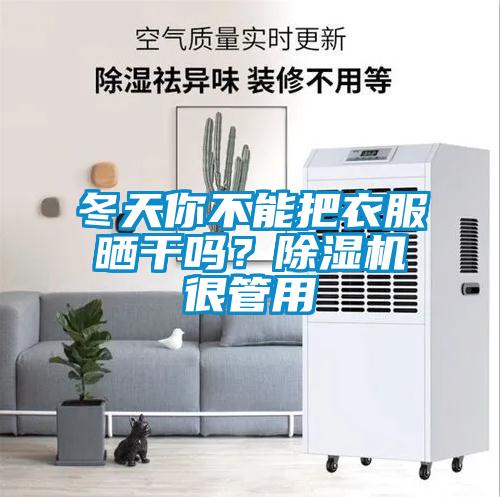 冬天你不能把衣服晒干吗？香蕉视频国产APP下载机很管用