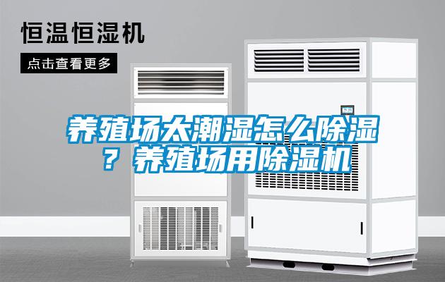 养殖场太潮湿怎么香蕉视频国产APP下载？养殖场用香蕉视频国产APP下载机