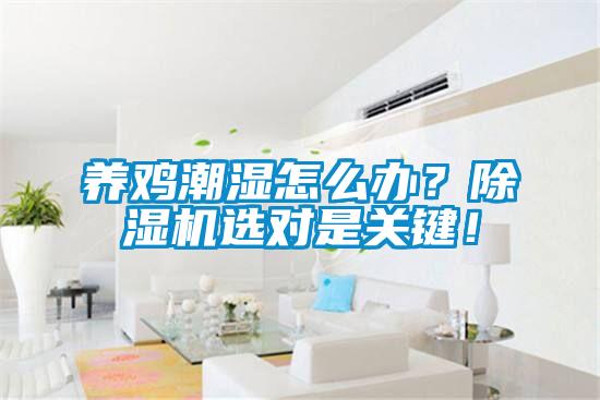 养鸡潮湿怎么办？香蕉视频国产APP下载机选对是关键！