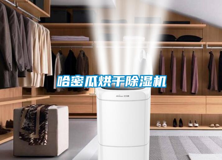 哈密瓜烘干香蕉视频国产APP下载机