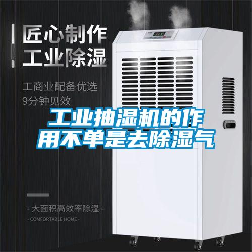 工业抽湿机的作用不单是去香蕉视频国产APP下载气