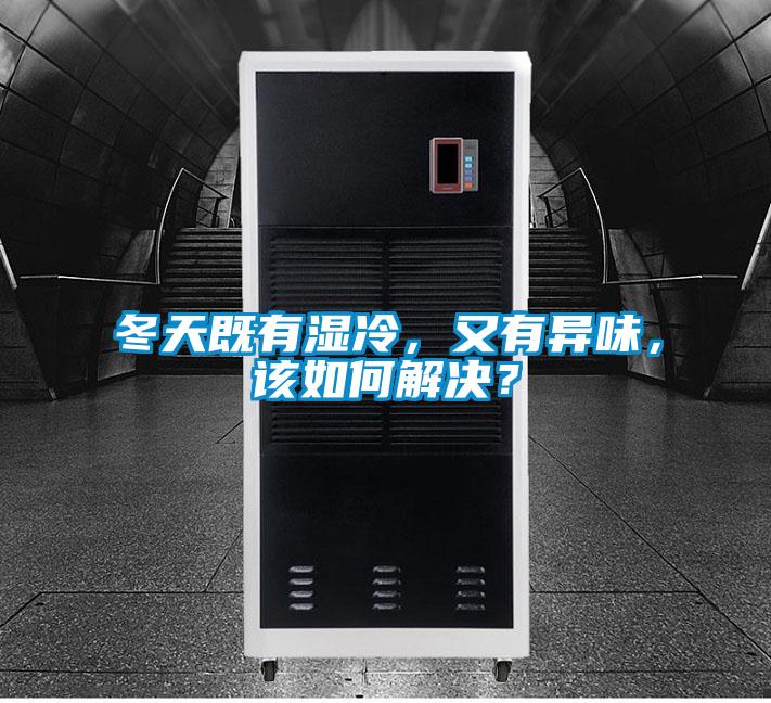 冬天既有湿冷，又有异味，该如何解决？
