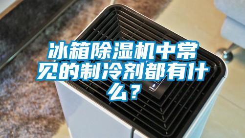 冰箱香蕉视频国产APP下载机中常见的制冷剂都有什么？