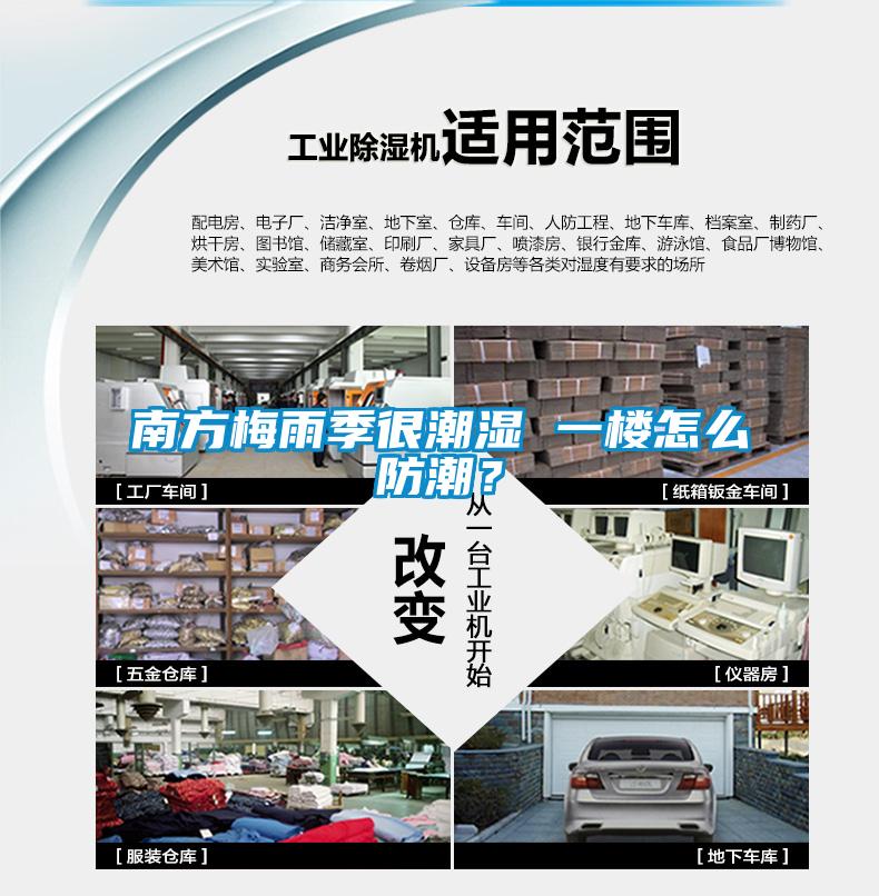 南方梅雨季很潮湿 一楼怎么防潮？