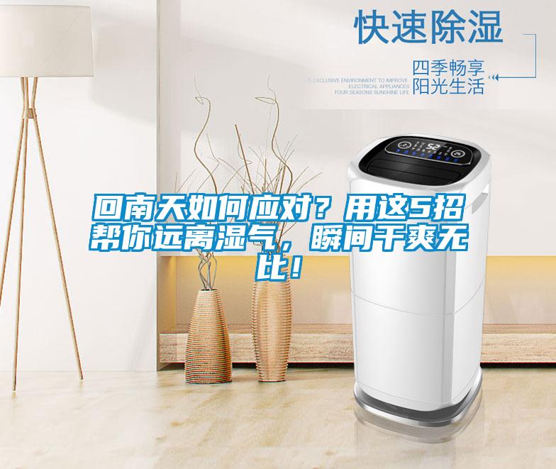回南天如何应对？用这5招帮你远离湿气，瞬间干爽无比！