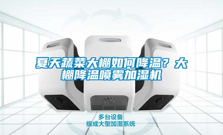 夏天蔬菜大棚如何降温？大棚降温喷雾加湿机