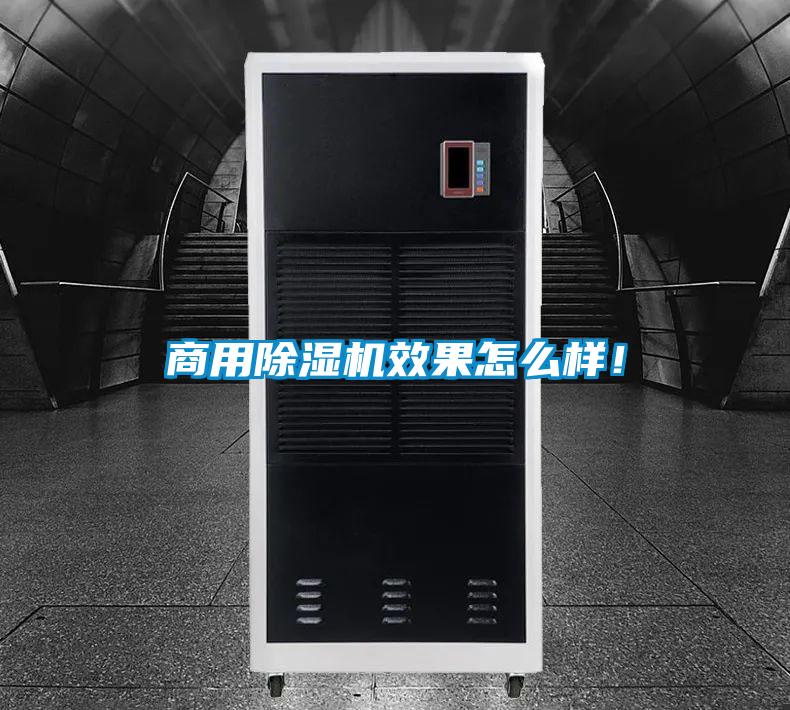 商用香蕉视频国产APP下载机效果怎么样！