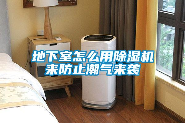 地下室怎么用香蕉视频国产APP下载机来防止潮气来袭