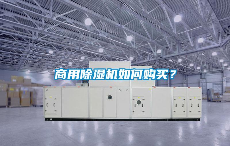 商用香蕉视频国产APP下载机如何购买？