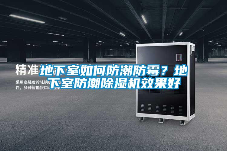 地下室如何防潮防霉？地下室防潮香蕉视频国产APP下载机效果好