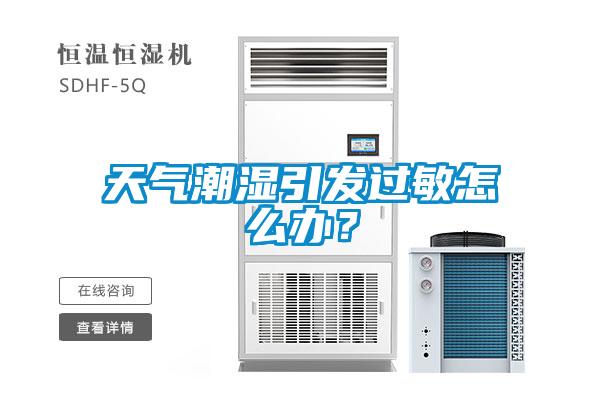 天气潮湿引发过敏怎么办？
