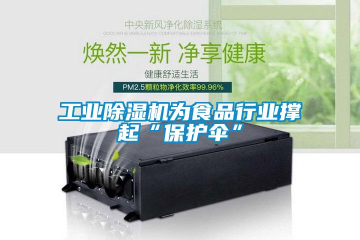 工业香蕉视频国产APP下载机为食品行业撑起“保护伞”
