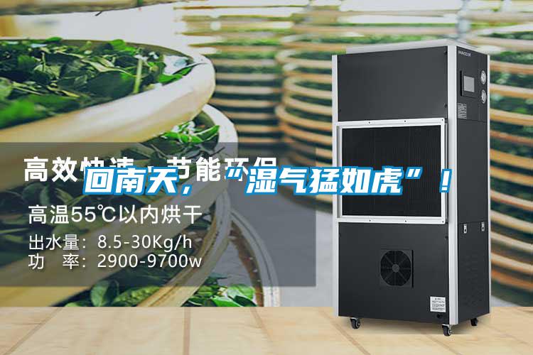 回南天，“湿气猛如虎”！