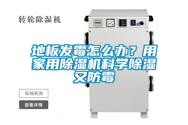 地板发霉怎么办？用家用香蕉视频国产APP下载机科学香蕉视频国产APP下载又防霉