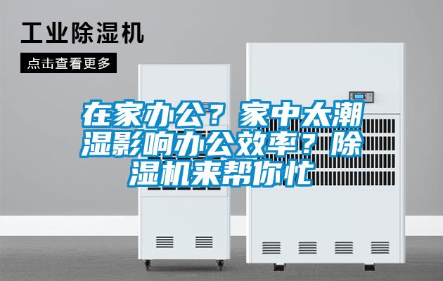 在家办公？家中太潮湿影响办公效率？香蕉视频国产APP下载机来帮你忙