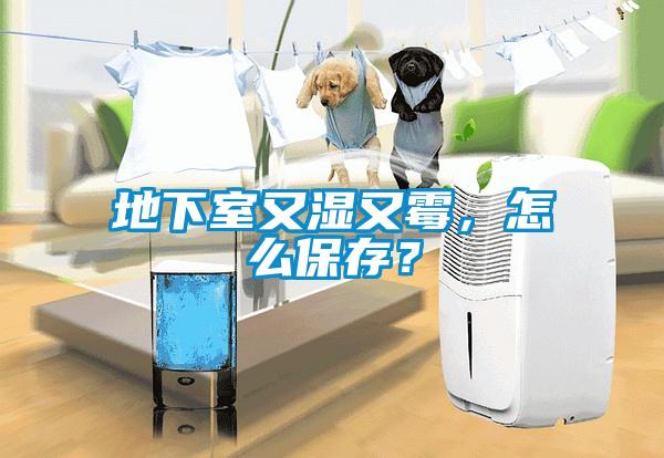 地下室又湿又霉，怎么保存？