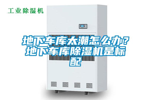 地下车库太潮怎么办？地下车库香蕉视频国产APP下载机是标配