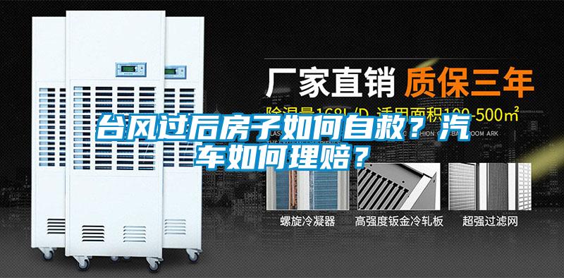 台风过后房子如何自救？汽车如何理赔？