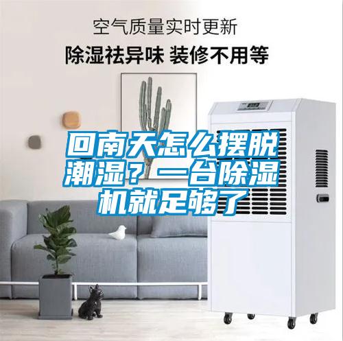 回南天怎么摆脱潮湿？一台香蕉视频国产APP下载机就足够了
