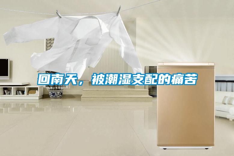 回南天，被潮湿支配的痛苦