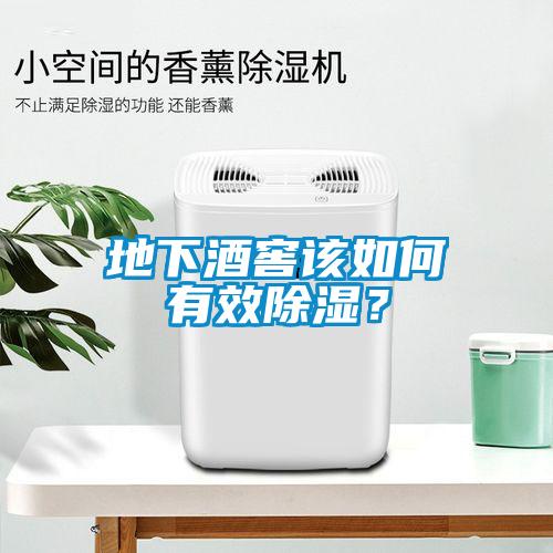 地下酒窖该如何有效香蕉视频国产APP下载？
