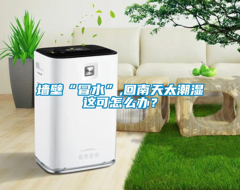 墙壁“冒水”,回南天太潮湿这可怎么办？
