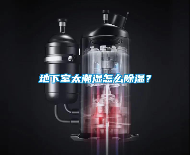 地下室太潮湿怎么香蕉视频国产APP下载？