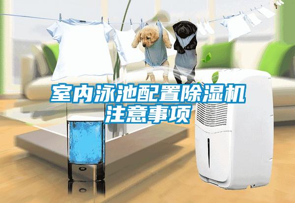 室内泳池配置香蕉视频国产APP下载机注意事项