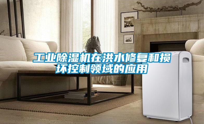 工业香蕉视频国产APP下载机在洪水修复和损坏控制领域的应用