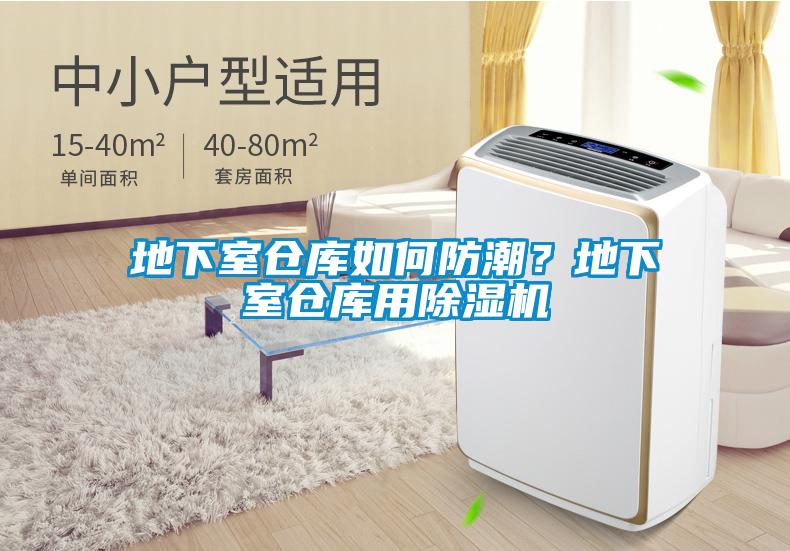 地下室仓库如何防潮？地下室仓库用香蕉视频国产APP下载机