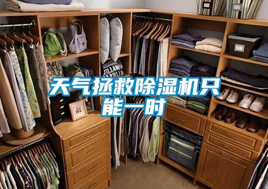 天气拯救香蕉视频国产APP下载机只能一时