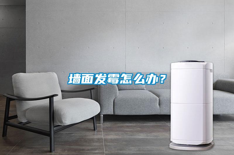 墙面发霉怎么办？