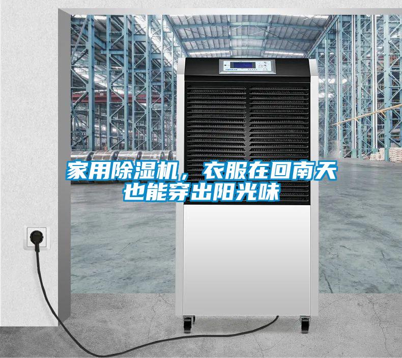 家用香蕉视频国产APP下载机，衣服在回南天也能穿出阳光味