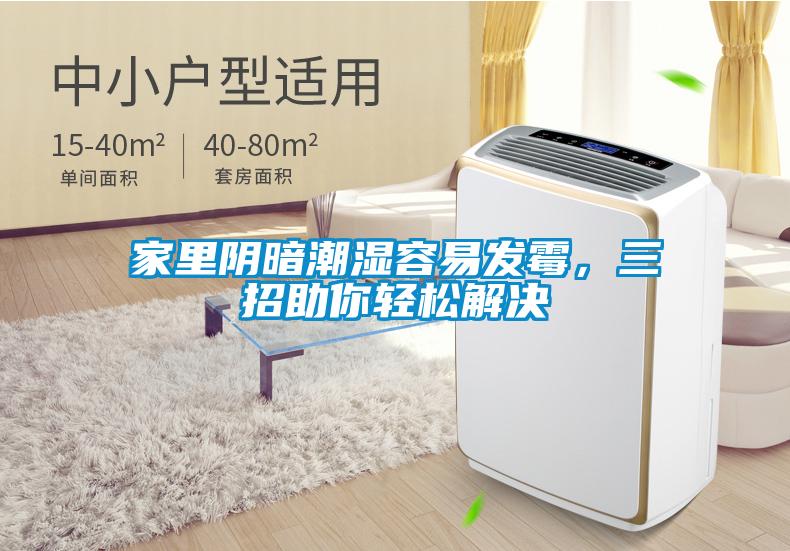 家里阴暗潮湿容易发霉，三招助你轻松解决