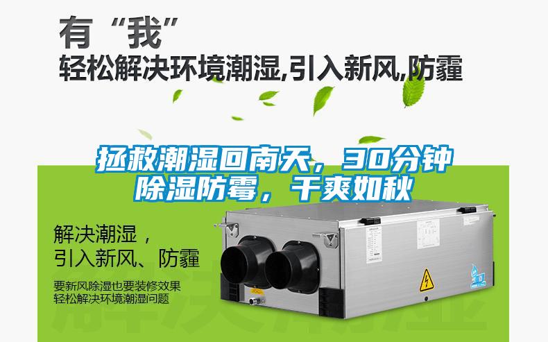 拯救潮湿回南天，30分钟香蕉视频国产APP下载防霉，干爽如秋
