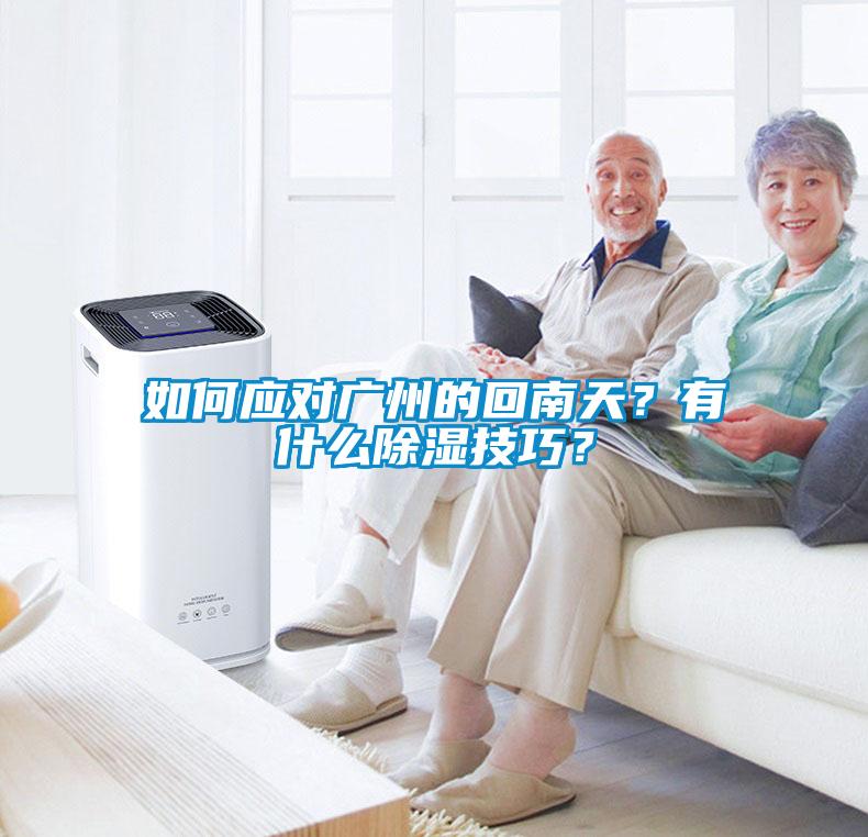 如何应对广州的回南天？有什么香蕉视频国产APP下载技巧？