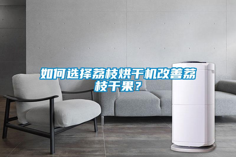 如何选择荔枝烘干机改善荔枝干果？