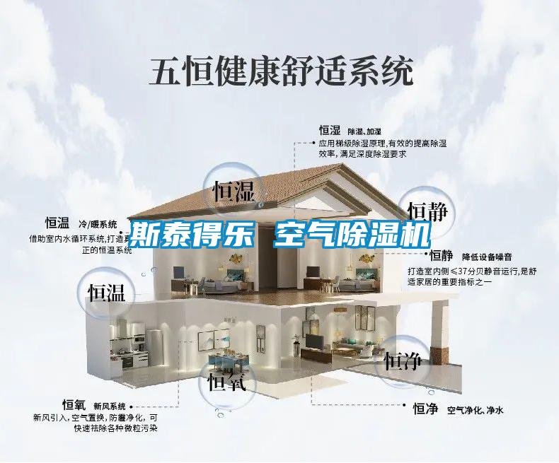 斯泰得乐 空气香蕉视频国产APP下载机