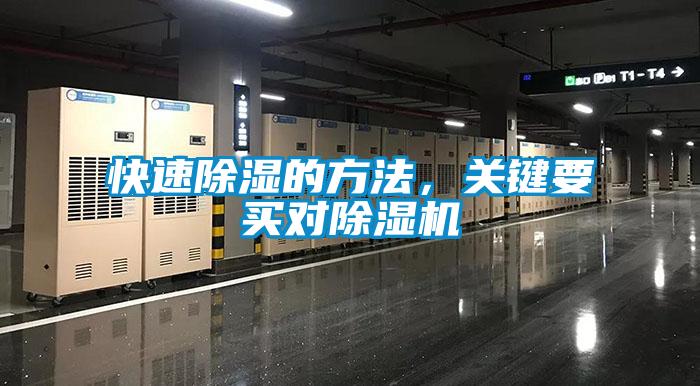 快速香蕉视频国产APP下载的方法，关键要买对香蕉视频国产APP下载机