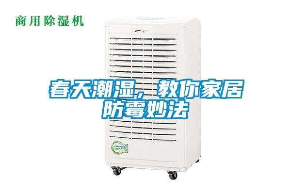 春天潮湿，教你家居防霉妙法