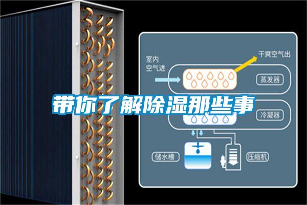 带你了解香蕉视频国产APP下载那些事