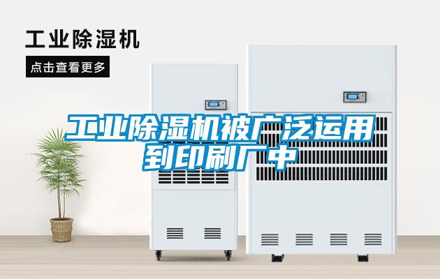 工业香蕉视频国产APP下载机被广泛运用到印刷厂中