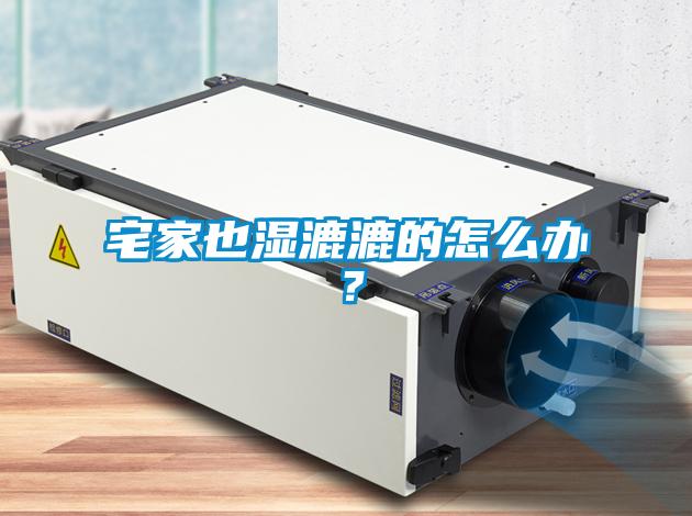 宅家也湿漉漉的怎么办？