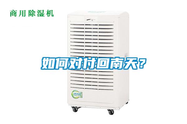 如何对付回南天？