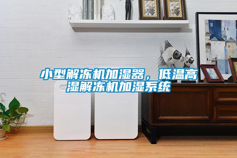 小型解冻机加湿器，低温高湿解冻机加湿系统