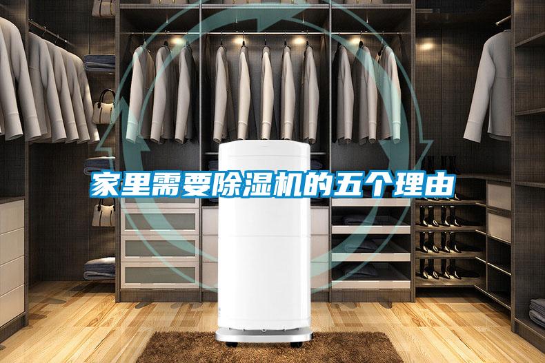 家里需要香蕉视频国产APP下载机的五个理由