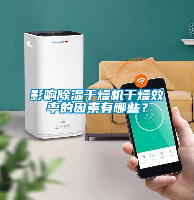影响香蕉视频国产APP下载干燥机干燥效率的因素有哪些？